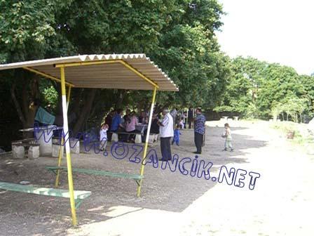 CIMG0554.JPG
