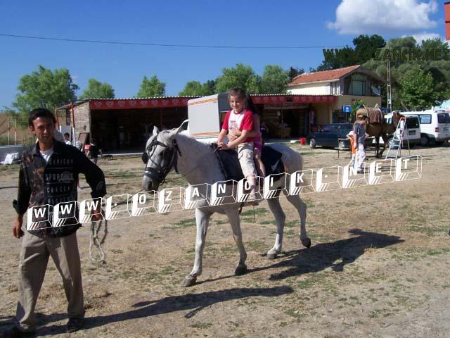100_0339.JPG