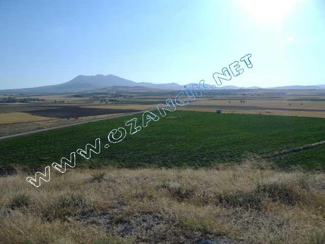 DSCF0421.JPG