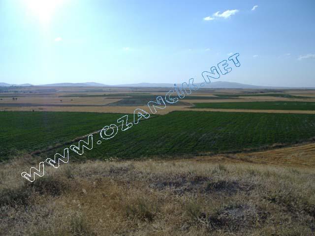 DSCF0422.JPG