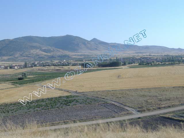 DSCF0426.JPG