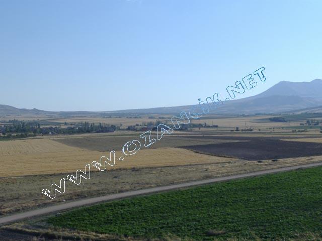 DSCF0427.JPG