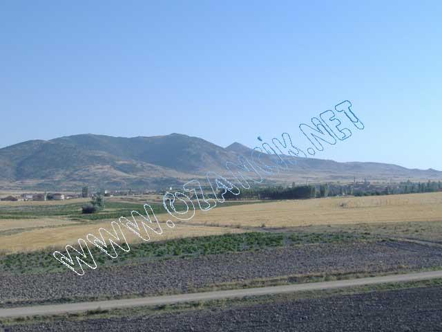 DSCF0430.JPG