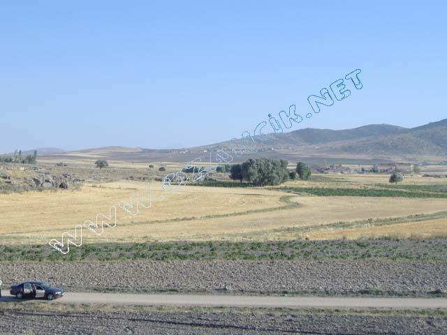 DSCF0432.JPG