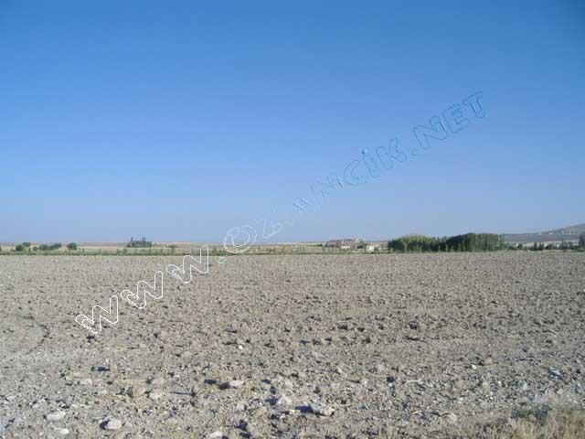 DSCF0437.JPG