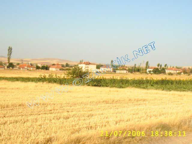 S3010107.jpg - M3367S-4507