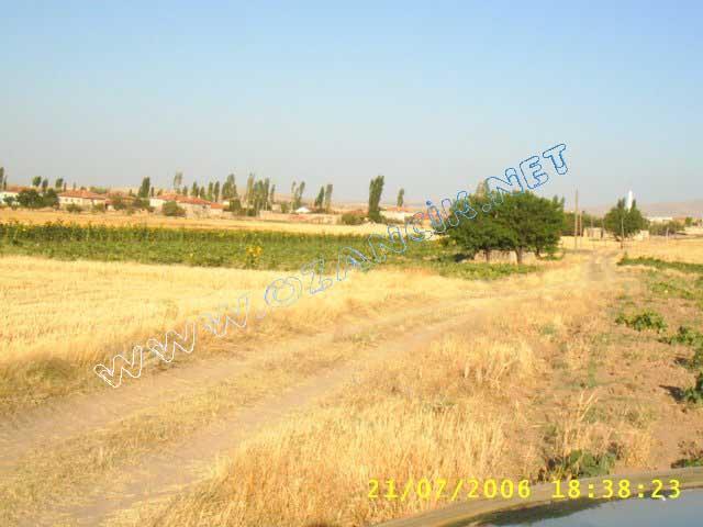 S3010108.jpg - M3367S-4507