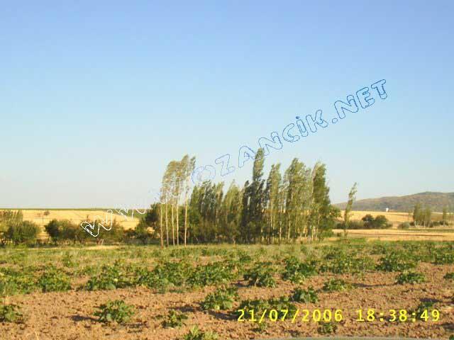 S3010111.jpg - M3367S-4507