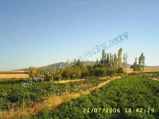 S3010112.jpg - M3367S-4507