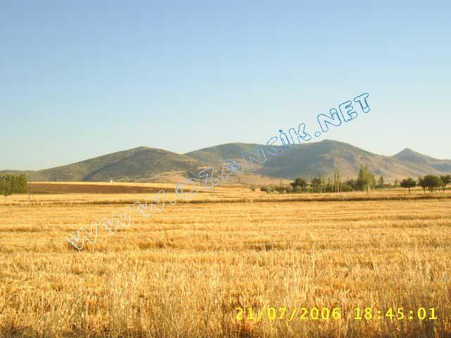 S3010114.jpg - M3367S-4507