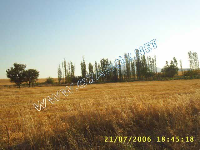 S3010116.jpg - M3367S-4507