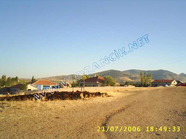 S3010121.jpg - M3367S-4507