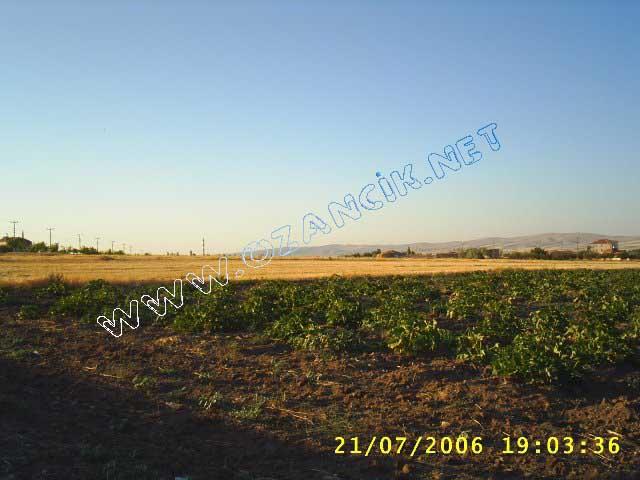 S3010143.jpg - M3367S-4507
