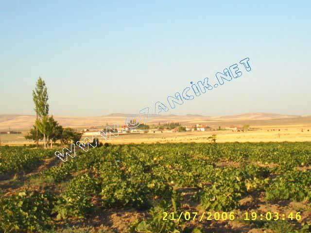 S3010144.jpg - M3367S-4507