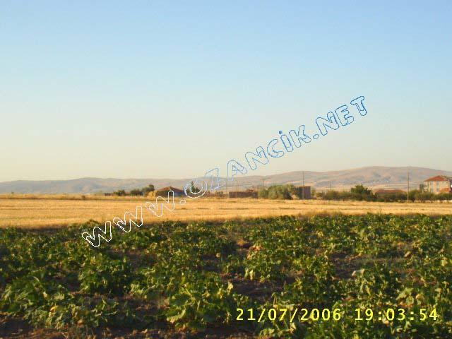 S3010145.jpg - M3367S-4507