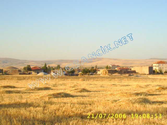 S3010153.jpg - M3367S-4507