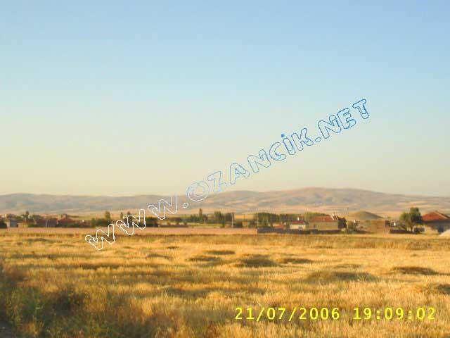S3010154.jpg - M3367S-4507