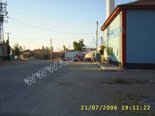 S3010161.jpg - M3367S-4507